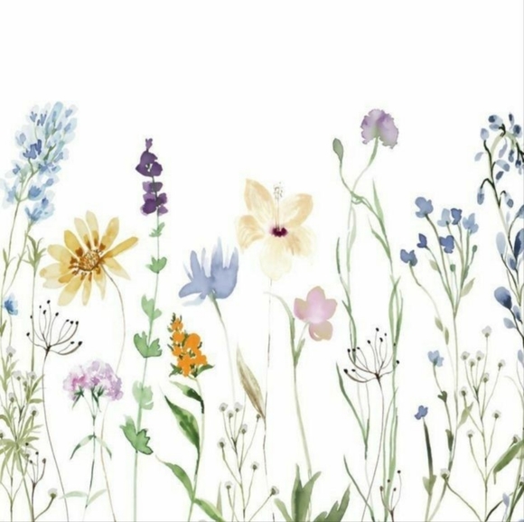 LIVE SHOW NOTIFICATION - Picture 1 of 1